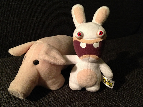 Bunny, meet pig. Bunny, meet pig.