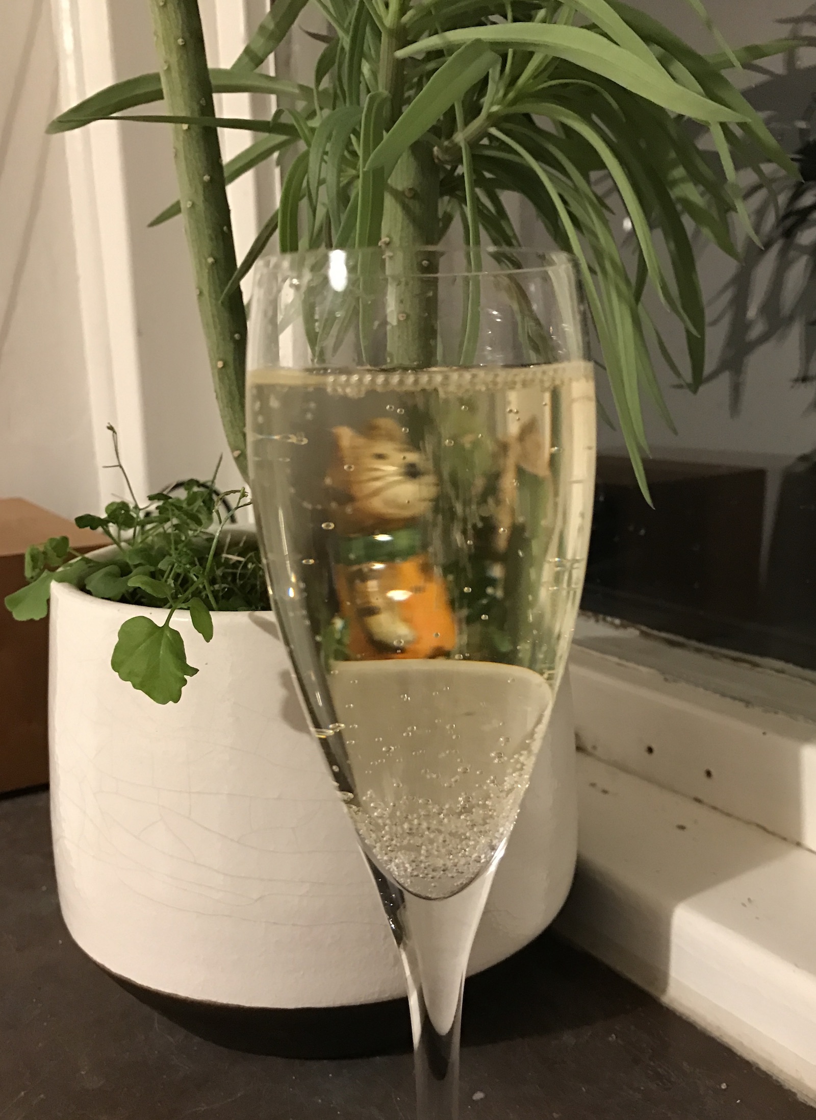 Tuesday night bubbles